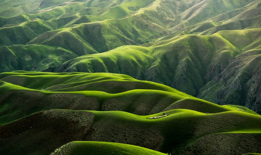 entdecken sie die schönheit der natur: atemberaubende landschaften, vielfältige tier- und pflanzenwelt sowie friedliche rückzugsorte.