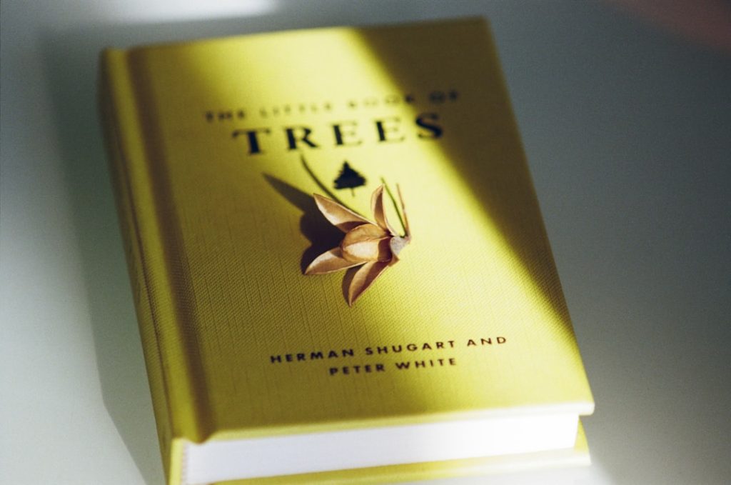 effektive methoden zur bekämpfung von thripsen: tipps zur prävention und behandlung, um pflanzen vor schäden zu schützen.