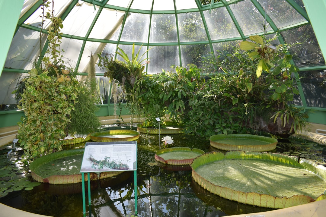 entdecken sie die schönheit und vielfalt der pflanzenwelt in unserem botanischen garten – ein ort der ruhe, bildung und naturerlebnis.