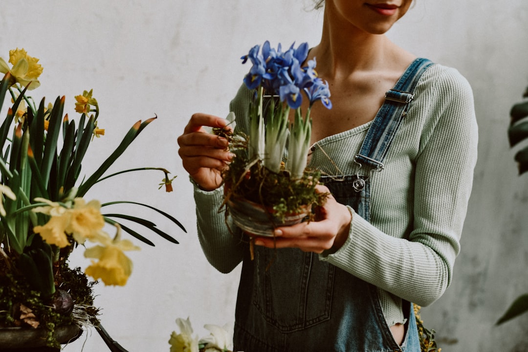 erfahren sie, wie sie narzissen richtig pflegen, um gesunde und wunderschöne blumen zu gewährleisten. tipps zur bewässerung, pflanzung und pflege von narzissen.