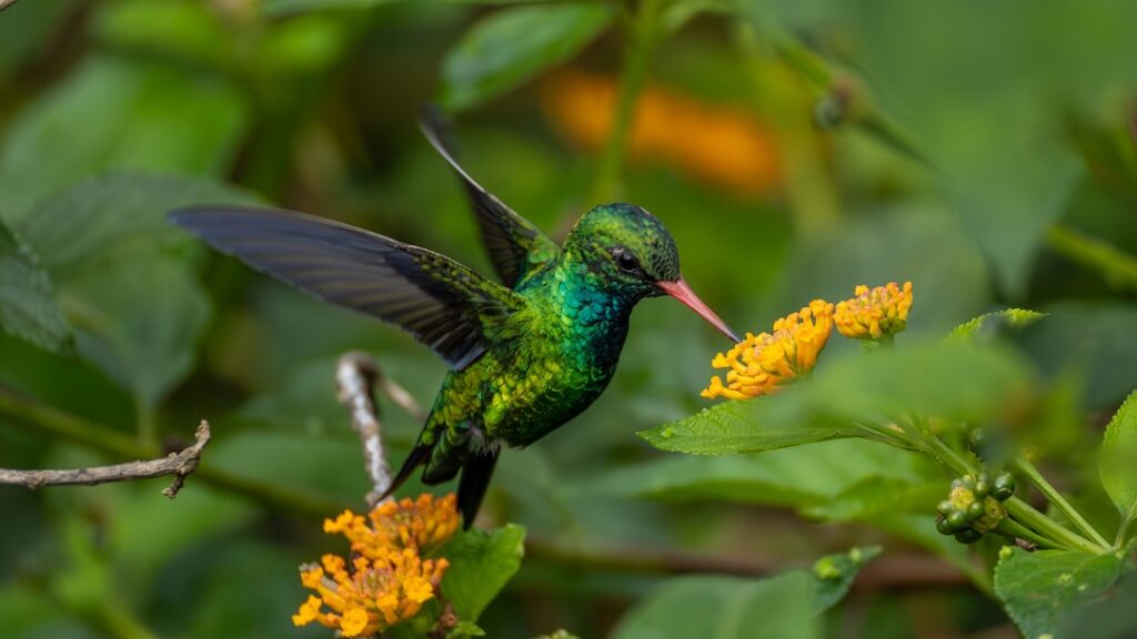 ökologische balance: ein harmonisches zusammenspiel von umweltfaktoren für nachhaltigen schutz und erhalt der natur.
