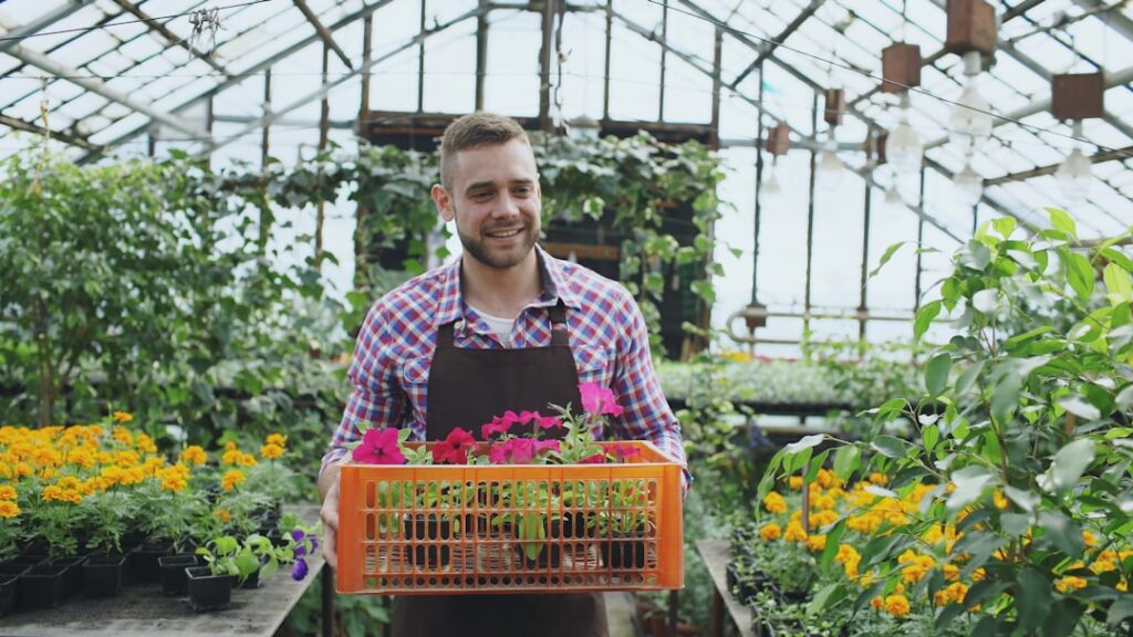 erfahren sie, wie sie petunien richtig pflegen, um ihre farbenpracht und blütezeit zu maximieren. tipps zu bewässerung, standort und düngung für gesunde petunien.